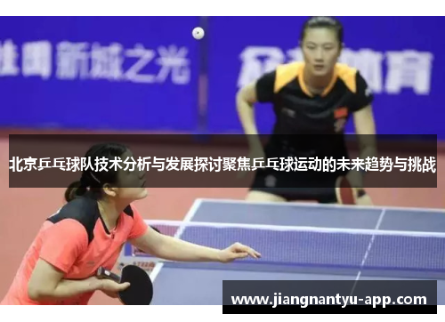 北京乒乓球队技术分析与发展探讨聚焦乒乓球运动的未来趋势与挑战